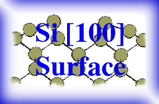Theoretical Study of the Si(100) Surface